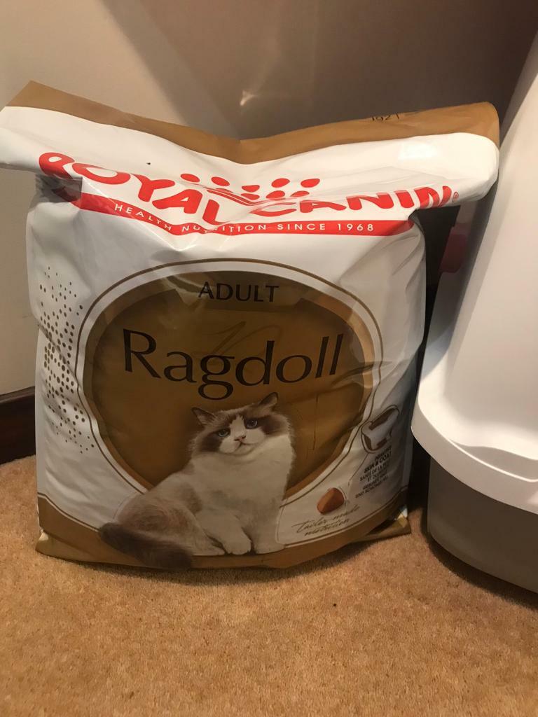 royal canin ragdoll 10kg